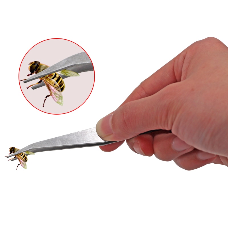 Pinzas de apicultura, trampa para colmena de abejas, pinzas para larvas de abejas, transferencia de Pupae, pinzas especiales para suministros de Apicultura