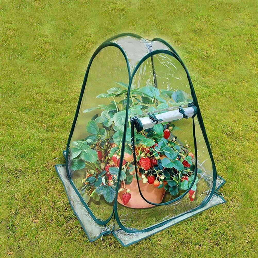 Mini Draagbare Plastic Kas Clear Cover Bloemen Bonsai Planten Groeien Tent Isolatie Cover Waterdichte Kas Cover