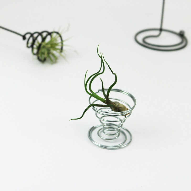 20 Pack Air Plant Stand Container Tillandsia Holder, iron Wire Stand Plant Display Racks - Silver