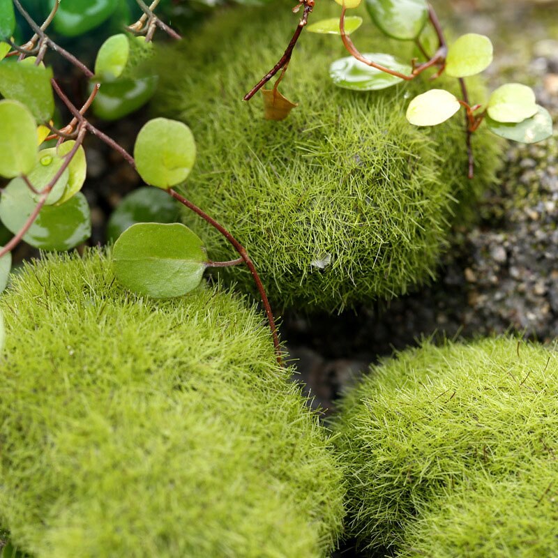 Tailles de roches mousses artificielles | Pierres artificielles décoratives en fausse mousse verte recouverte