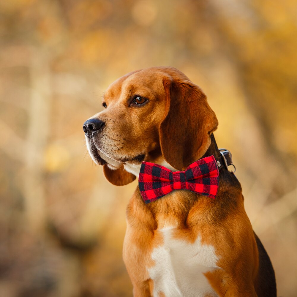 50 stk hundesløjfe hunde tilbehør bomuld glidende kæledyr hund butterfly hundehalsbånd tilbehør hunde kæledyr sløjfer flytbare kæledyrsartikler
