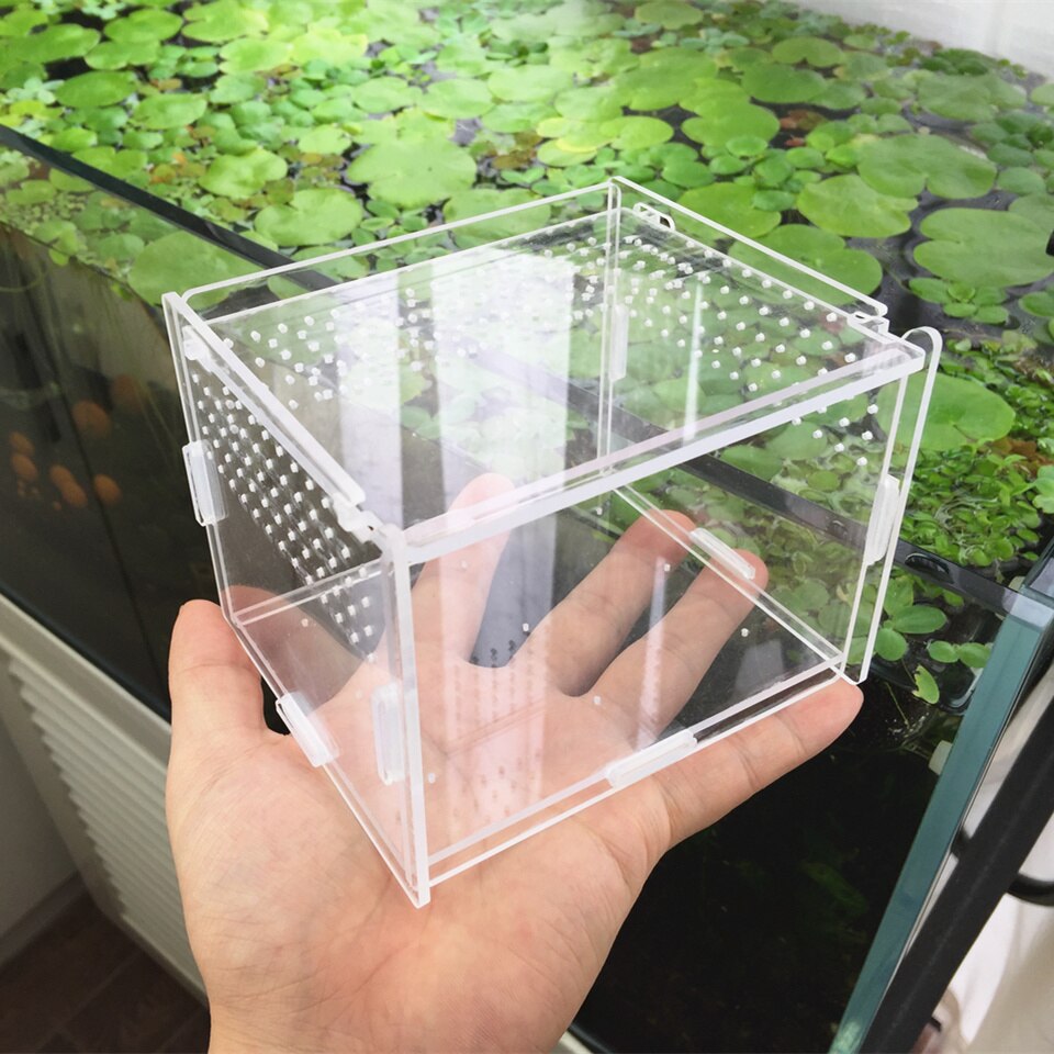 Transparent Acrylic Box Terrarium for Reptile and Amphibian Cricket Turtle Spider Snail Glass Shelter Terarium Terraria Gecko
