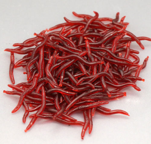 50/100pcs 4.5cm Bloodworm Soft Lure Fish Bionic Baits PVC Earthworm red Worms Fish Baits Lures Fishy Smell silicone bait