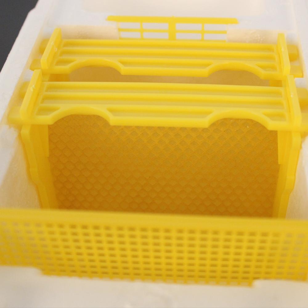 Beekeeping Beehive Hive Box Harvest Queen Pollination Beekeeping For Beekeeping mating box Queen Reserve Beekeeping Tool