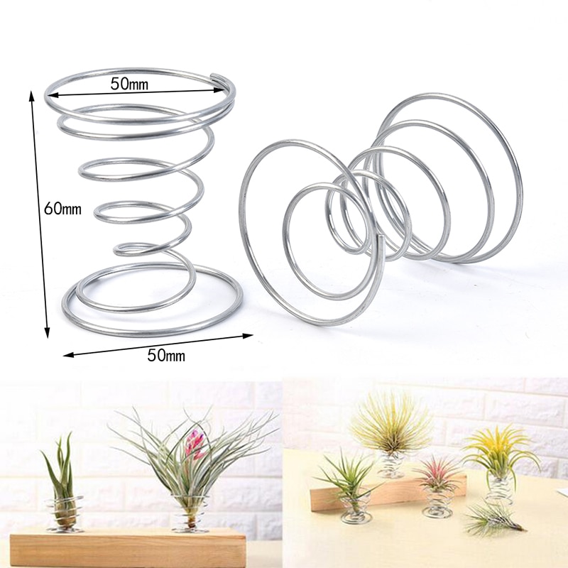 1 Uds. De soporte de Tillandsia de mesa de alambre de resorte de planta de aire, decoraciones de jardinería en miniatura