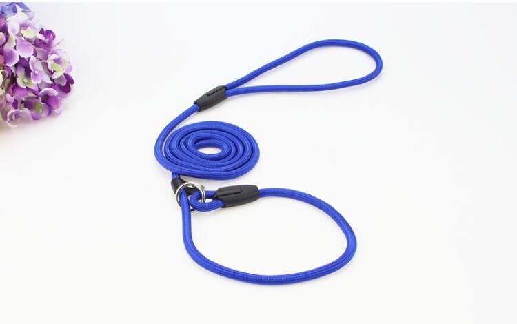 Adjustable Nylon Leash Dog Leash Rope Training Rop... – Grandado