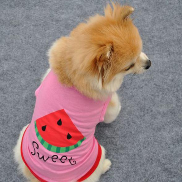 Kæledyr hund åndbart tøj hvalp vest lille hund bogstaver vandmelon t-shirt til kæledyr 1