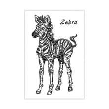 Kleine Zebra Siliconen Stempel Seal Clear Voor Diy Scrapbooking Fotoalbum Decoratieve Duidelijke Stempel Kantoor Schoolbenodigdheden Briefpapier