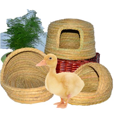 Nid de canard jaune, nid de poule, petit canard, nid d&#39;herbe, maison pour animal de compagnie, mignon