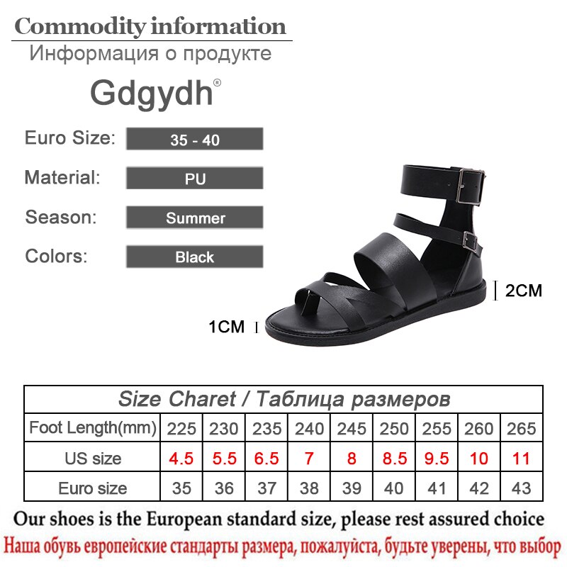Gdgydh rzymski zwykły sandały gladiatorki dama buty na plażę klapki damskie płaskie buty na lato Bakc zamek błyskawiczny tanie i wysokiej jakości