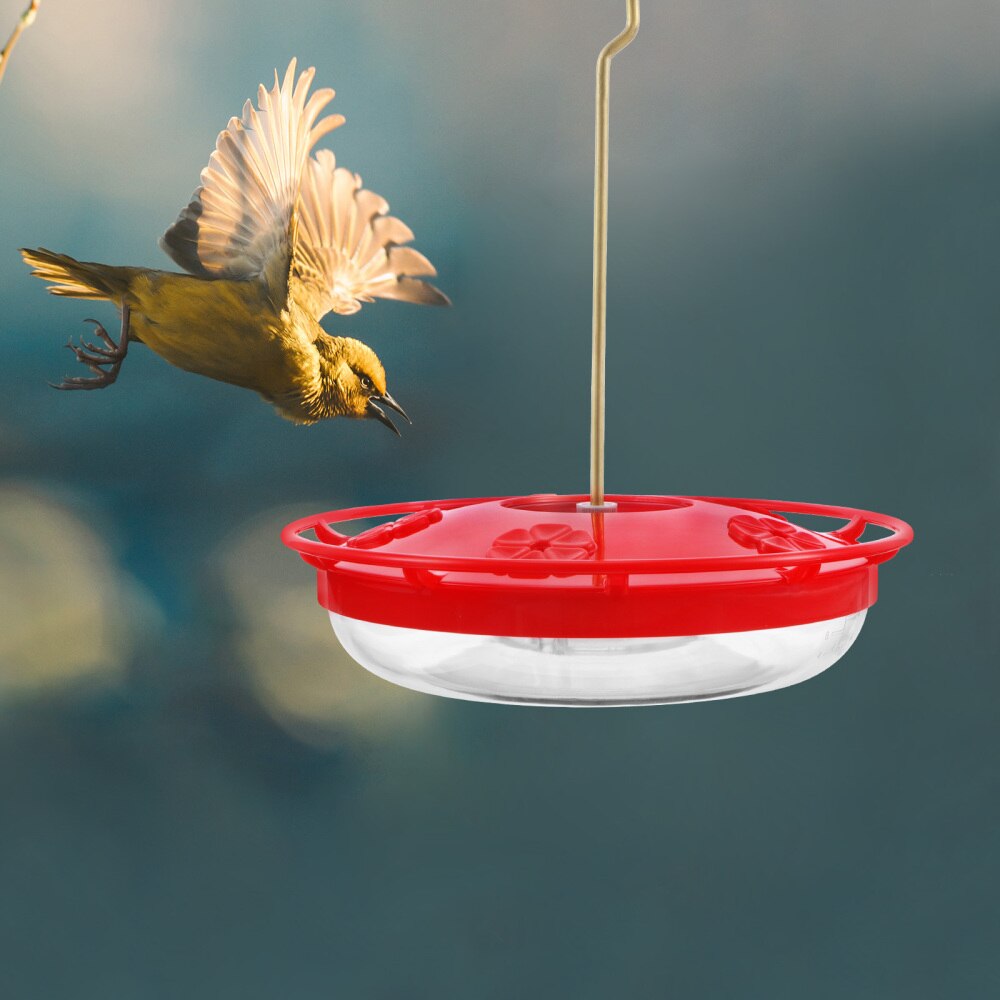 Outdoor Hummingbird Feeder Hanging Hummingbird Feeder Birds Supplies