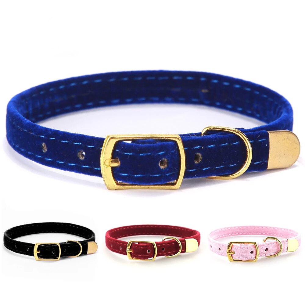Kat Halsband Voor Katten Kleine Honden Kittens Pure Kleur Verstelbare Huisdier Kraag Chihuahua Producten Huisdier Accessoires