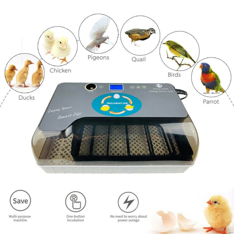 Farm Hatchery Incubator Brooder Machine 4-35 Egg Hatchers Cheap Price Chicken Automatic Eggs Incubator Bird Quail Brooder