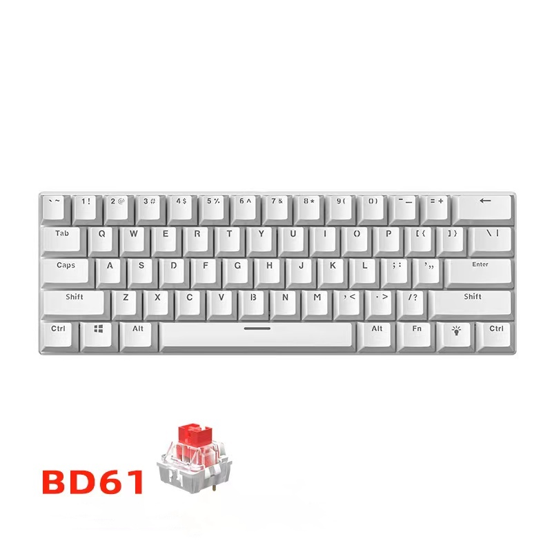 BD61 60% Gaming Mechanical Keyboard 61Key Wired Custom Mechanical Keyboard RGB Full Key -Swap RGB Backlit for Gaming/Office: WHITE