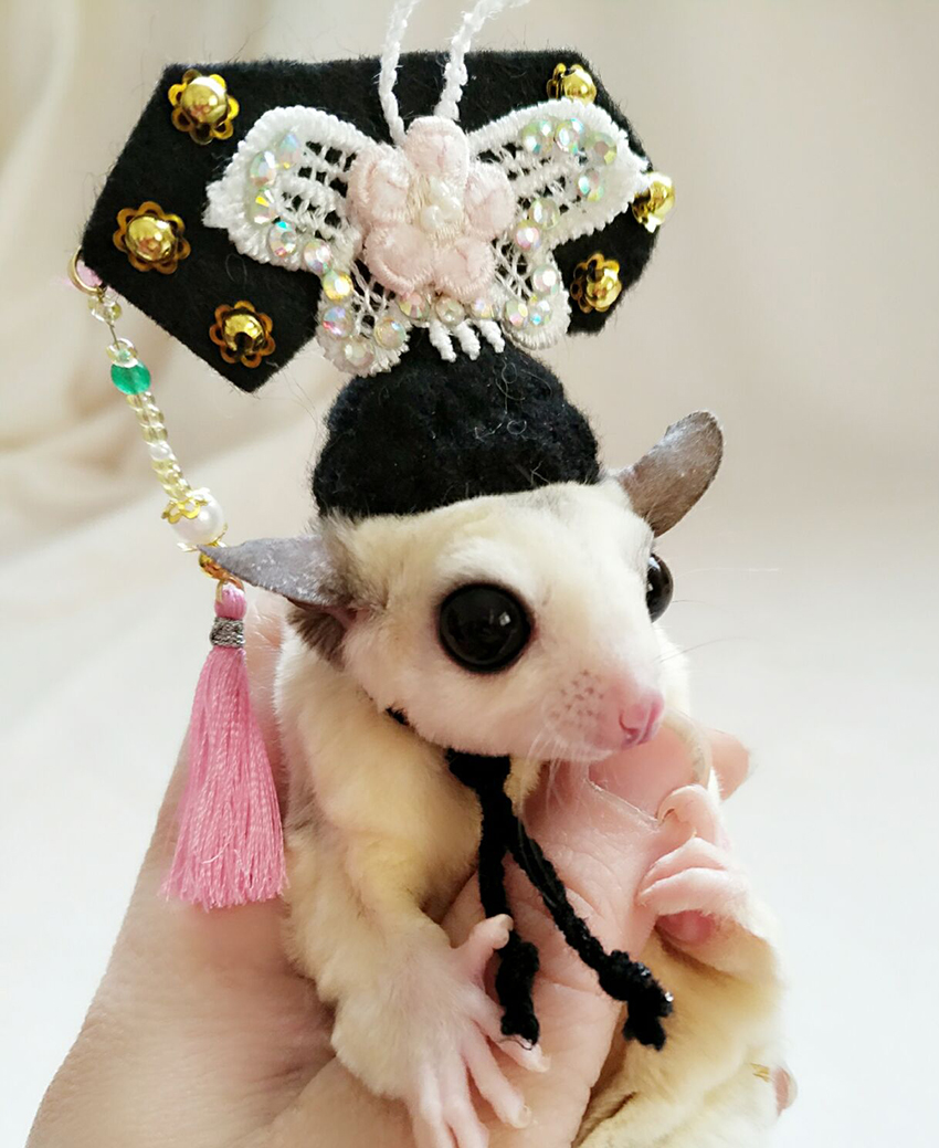 Shrew-sombrero para hámster tejido a mano, mini disfraz de animal bonito, sombrero de dibujos animados, ropa para mascotas: B