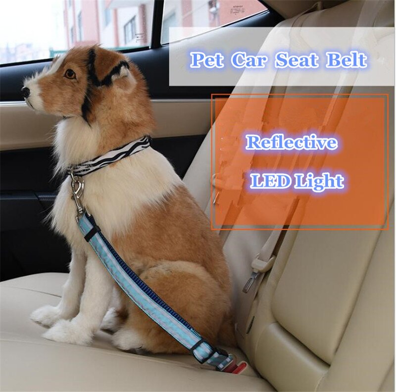 B42 reflecterende LED pet veiligheidsgordel nylondog trekkabel houden huisdier veiligheid in auto hond autogordels