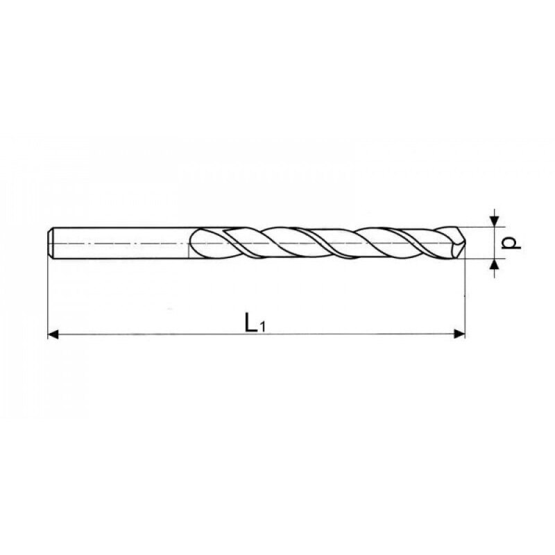 Beton Boor Voor Beton Pro 10x120mm