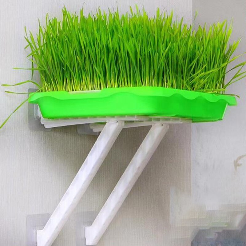 Seed Sprouter Tray 2 Layer Soilless Hydroponic Nursery Pot Germination Planter