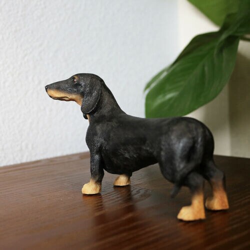JJM-figura de perro Dachshund Dackel Teckel, coleccionista de mascotas, decoración de coche, Animal de juguete, modelo educativo de PVC para niños, adultos y niños,