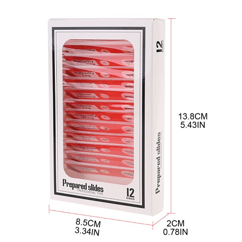 48pcs/set Kids Plastic Prepared Microscope Slides Biological Specimen Sample
