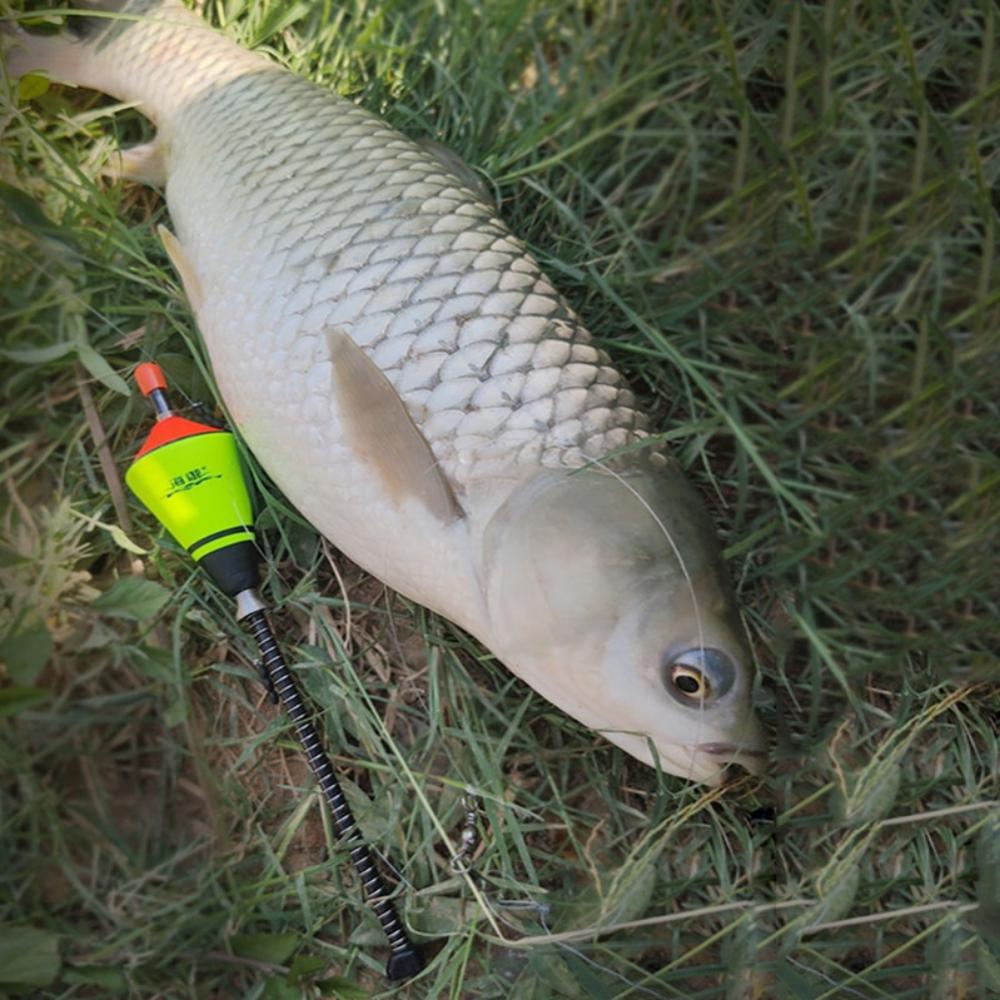 Flotador automático portátil para pesca de Río y Lago, conjunto de acero inoxidable para pesca de carpa, boya Vertical, dispositivo de alarma para mordedura