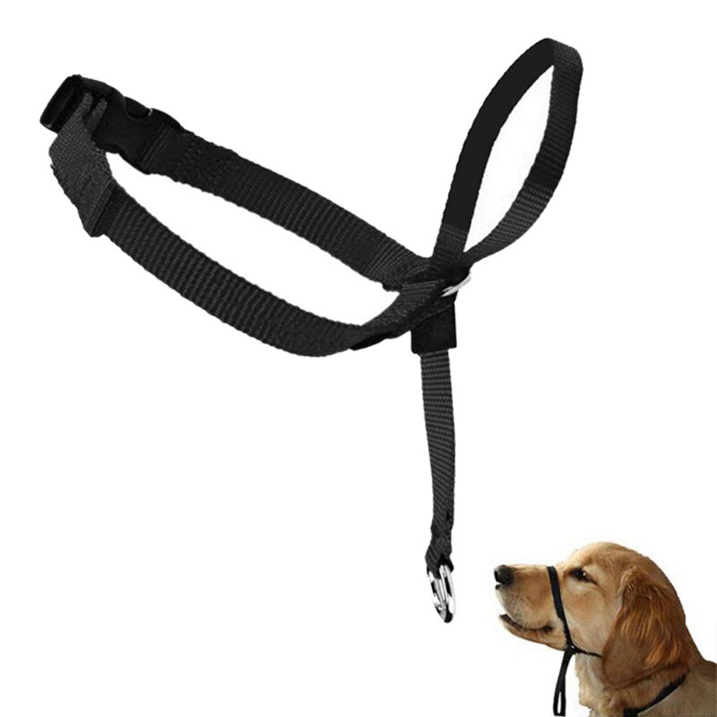 Halti gentle leader store harness