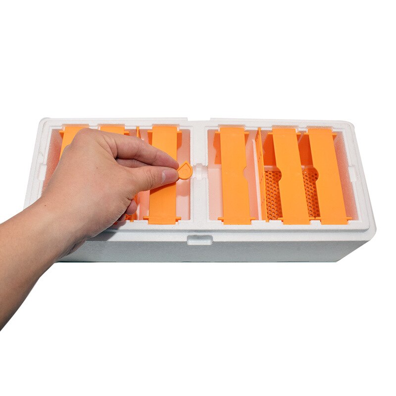 Caja de apicultura, Mini caja de aparejo de colmena de abejas de alta resistencia, de plástico EPS, dos Reinas, vivero, para 500-1000 abejas