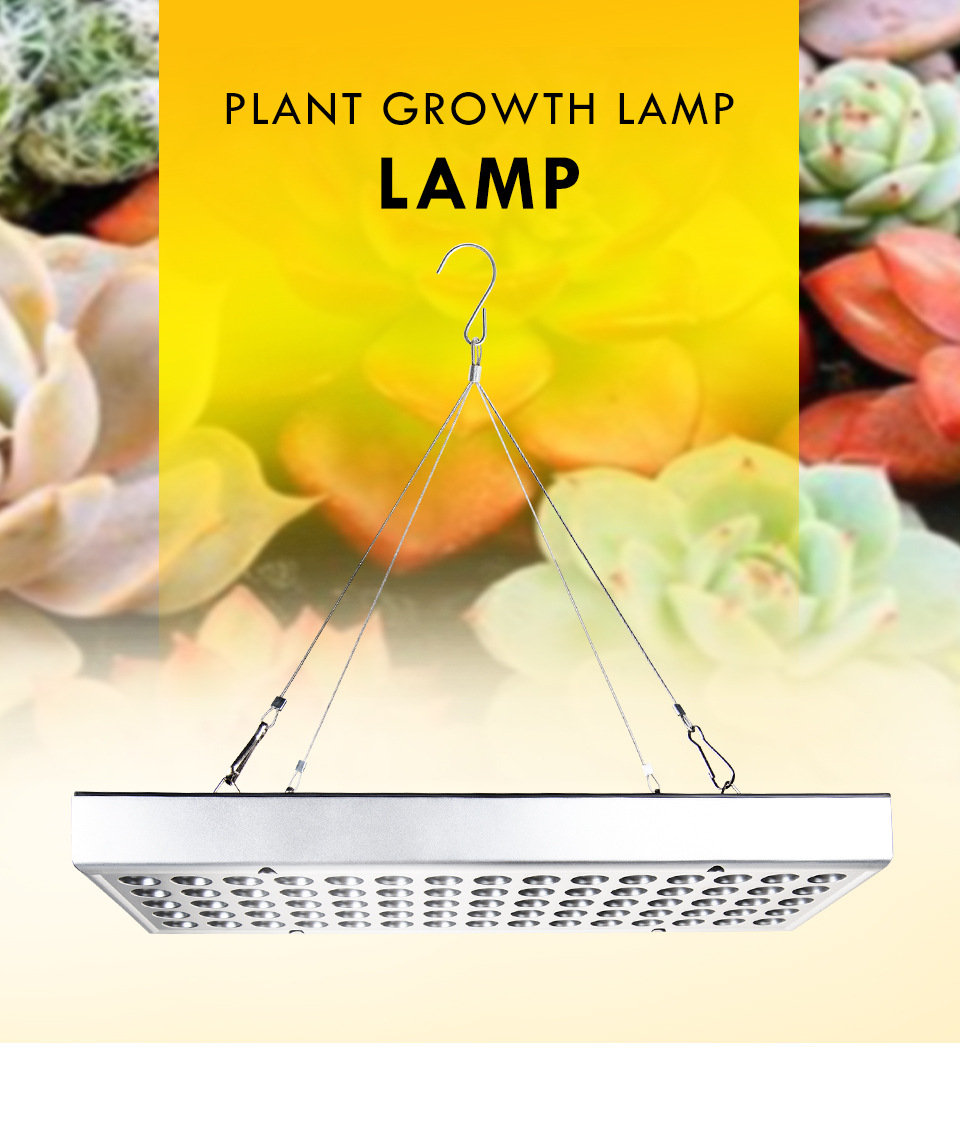 Led Grow Light Volledige Spectrum Plant Verlichting Voor Planten Bloemen Zaailing LED Planten Kweeklampen Cob Voor Indoor box plant lamp