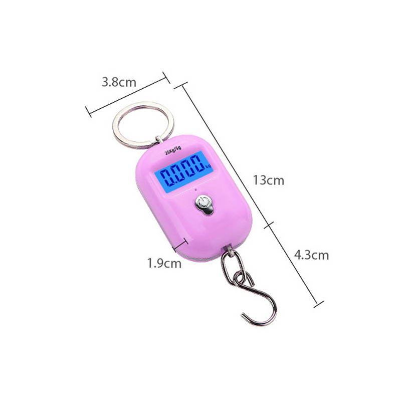 Hanging Scale Keychain Hook 25Kg 5g Travel Luggage With LCD Hanging Steelyard Household Supplies 1PC Mini Digital Scale