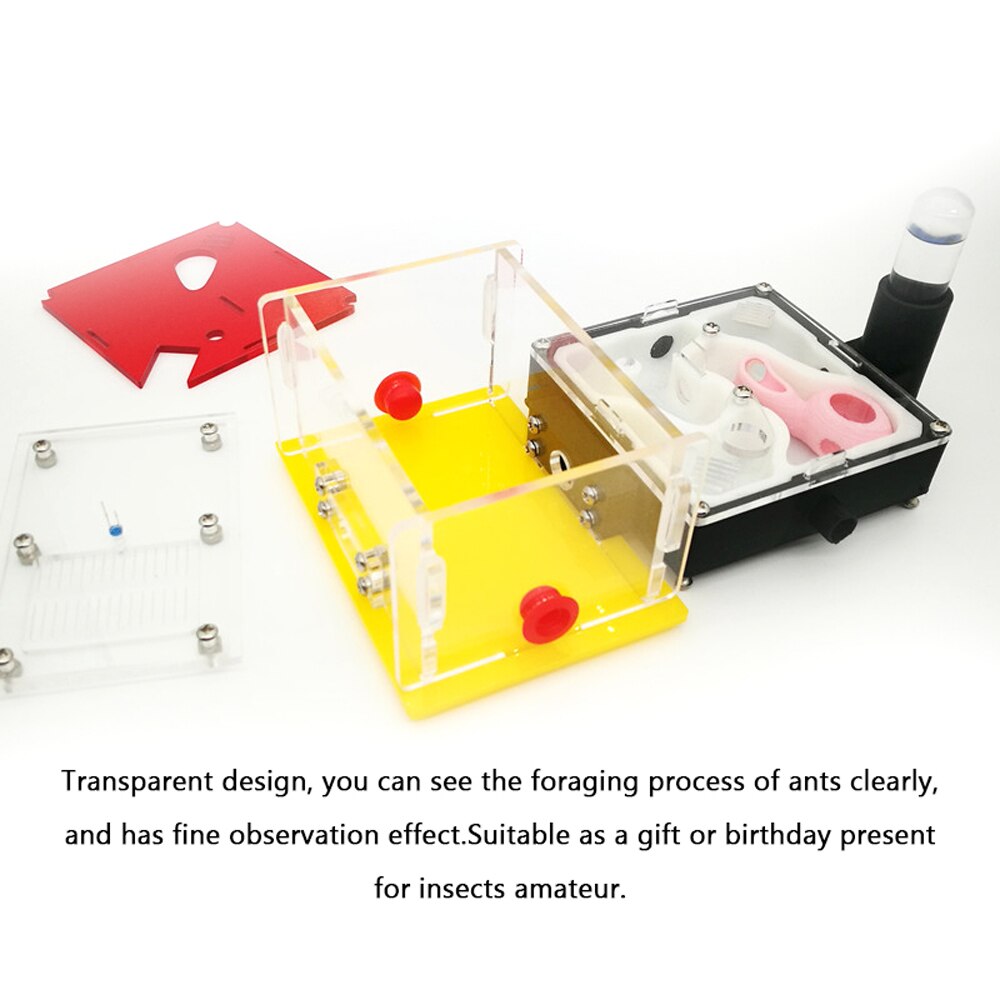 Ant Nest DIY Moisture Feeding Area Acryl Ant Farm Ants House Birthday
