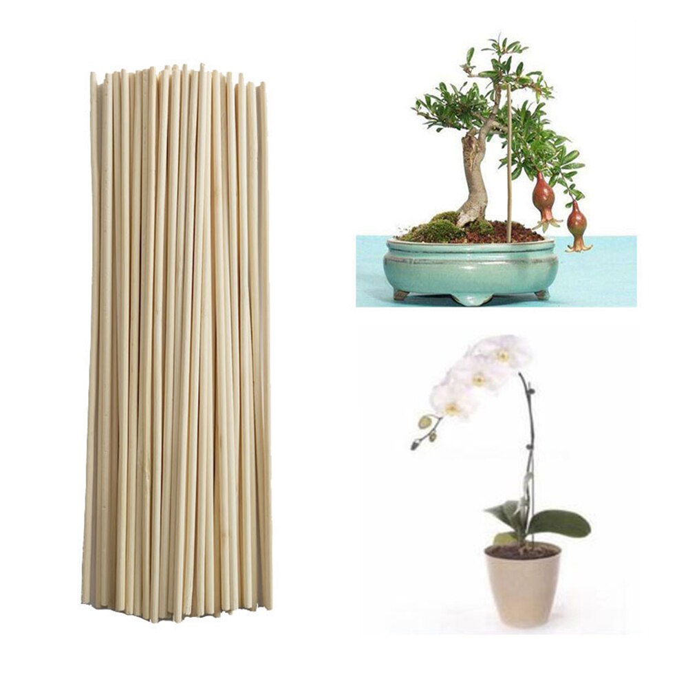50pcs/bag Wooden Plant Grow Support Bamboo Plant Sticks Garden Canes Plants Flower Support Stick Cane Garden Supplies