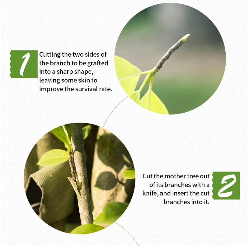 2/2.5/3/4/5/6/7/8/9/10cm Stretchable Self-adhesive Grafting Tape, Flowers And Fruit Tree Grafting Tape For Garden 1pc