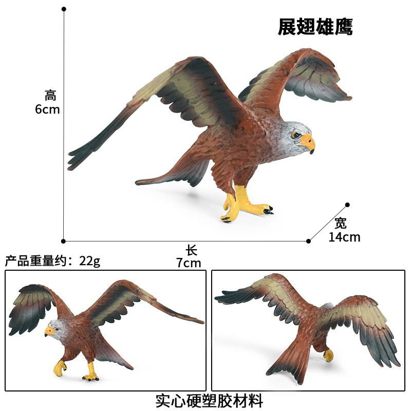 7*14*6Cm Kinderen Simulatie Diermodel Speelgoed Effen Statische Plastic Vogel Vleugels Eagle Zee Eagle Scène decoratie