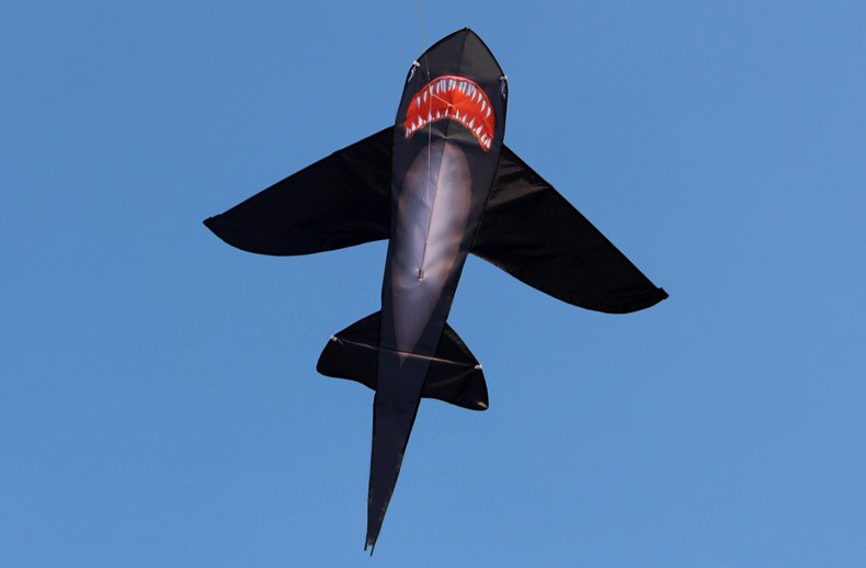 Cerf-volant de requin noir robuste, longue queue colorée, énorme kit pour débutant, pour enfants et adultes, livré avec ficelle et poignée