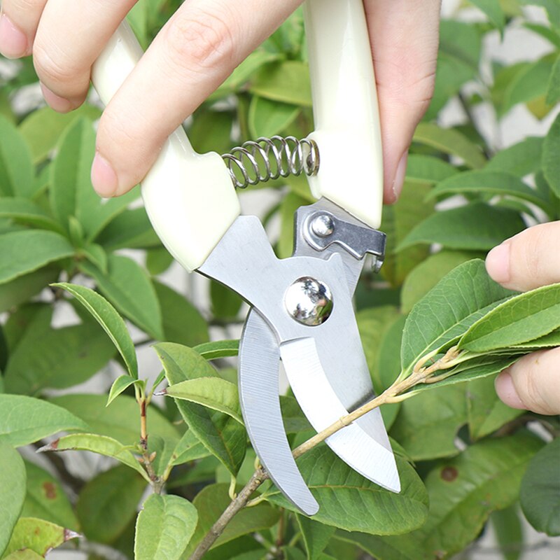 Dtbd 17cm beskärare trädskärare trädgårdsarbete beskärning sax rostfritt stål skärverktyg set hem verktyg halkskydd