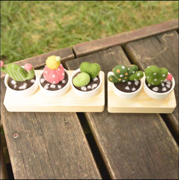 Cactus vlezige plant mini-pot wolvilt wollen borduurset wolvilt naaldvilten decoratie knutselen handwerk diy