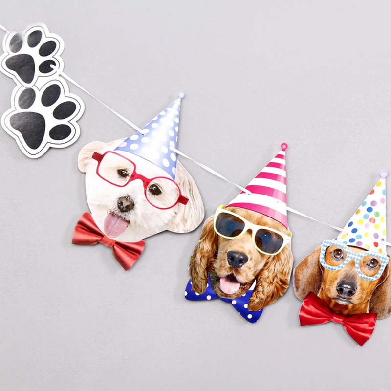 De leukste accessoires voor een hondenverjaardag | Happy Tails