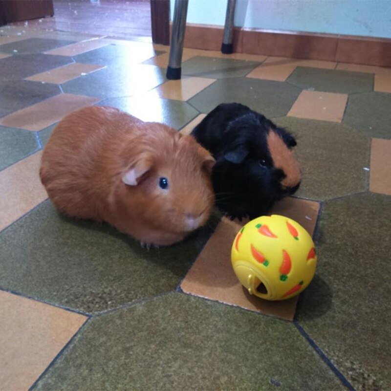 7Cm Snack Bal Voor Kleine Pet Hond Kat Konijn Cavia Hamster Behandelen Speelgoed