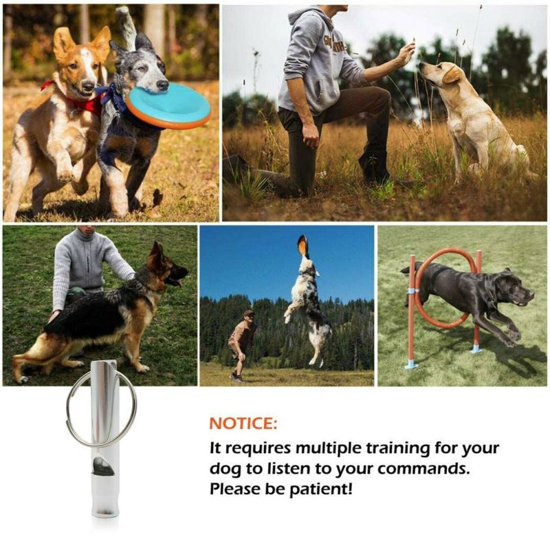 Animal Supplies Dog Training Whistle For Trainers Outdoor Aluminum Alloy Call Pet Tool And Interactive Pruduct