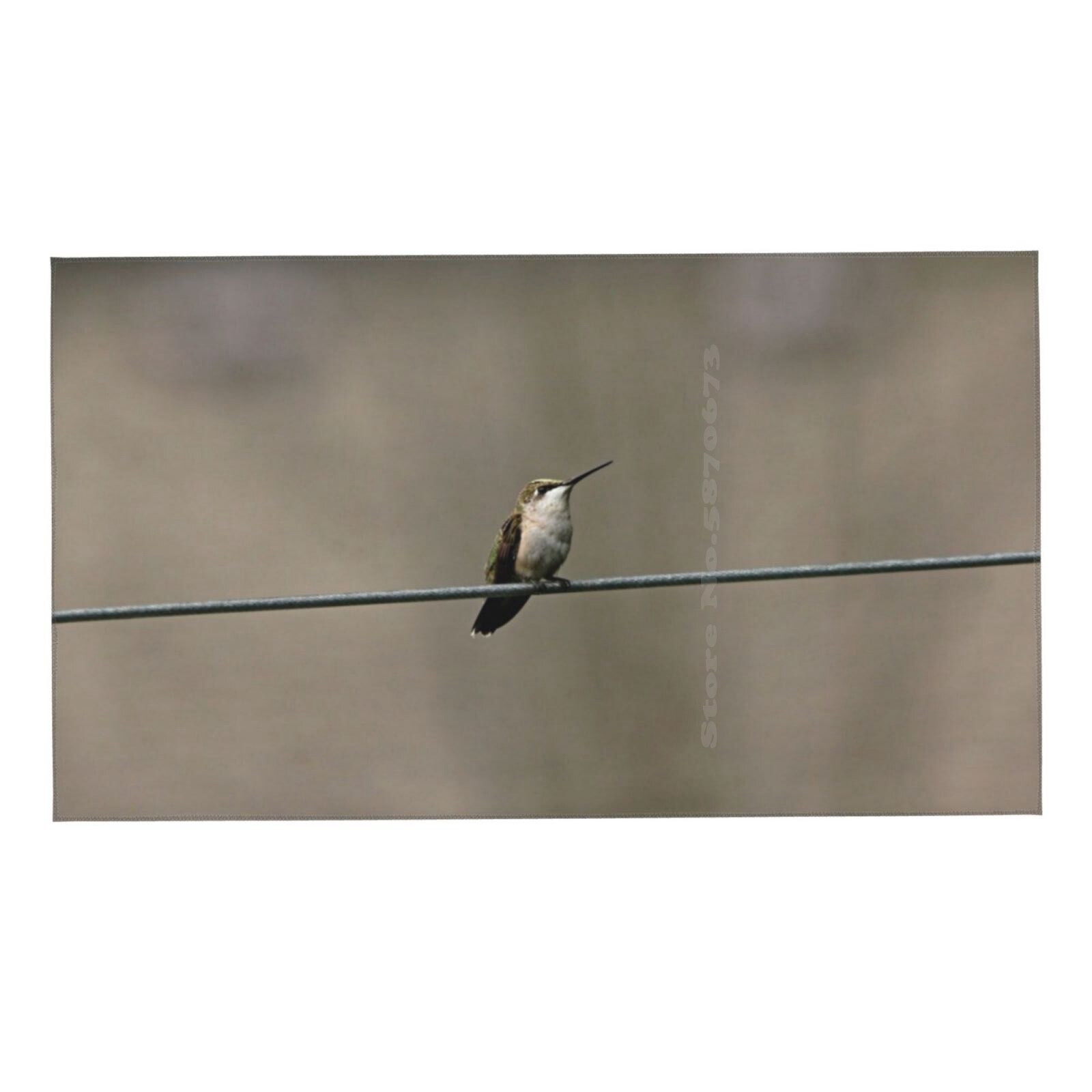 hummer na linii drukuj myjka twarz miękki ręcznik koliber rubinowy dławiony koliber rubinowy gardło hummer malutki ptak długi dziób