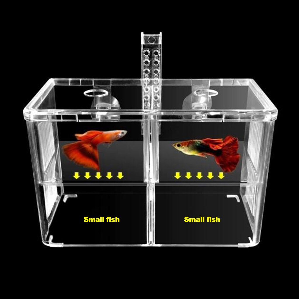 Large Fishes Tank Isolation Box Guppy Breeding Box Small Fishes Fry Isolation Net Acrylic Aquarium 30x20x20cm