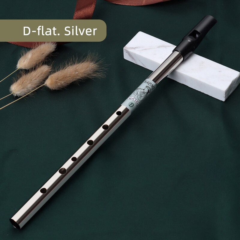 Naomi Messing Gemaakt Ierse Fluitje Fluit C/D Sleutel Ierland Fluit Tin Penny 6 Gat Fluit Muziekinstrument: D-flat. Silver