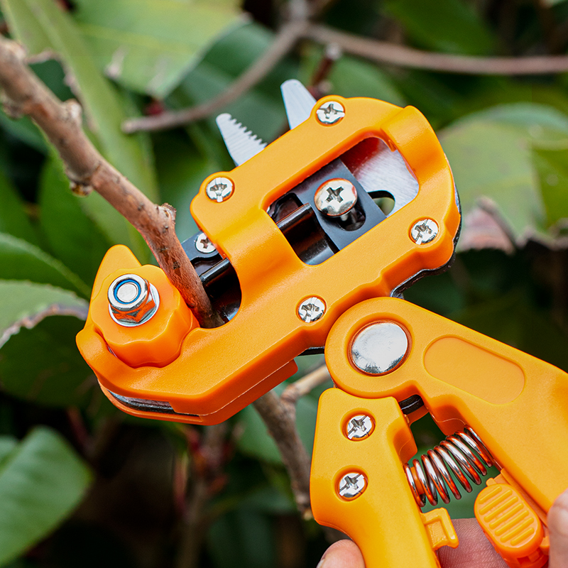Tijeras profesionales de injerto para jardín, tijeras de vacuna de árboles frutales, juego de herramientas de corte de poda de huerto, tijeras de injerto de vid de uva