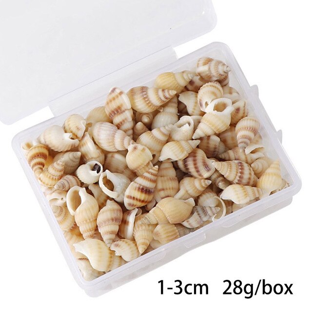 100 PCS Boxed Natural Conch Shells Mini Conch Corn Screw Wall Decoration DIY Aquarium Landscape Seashells Jewelry DIY Craft: Dark Gray