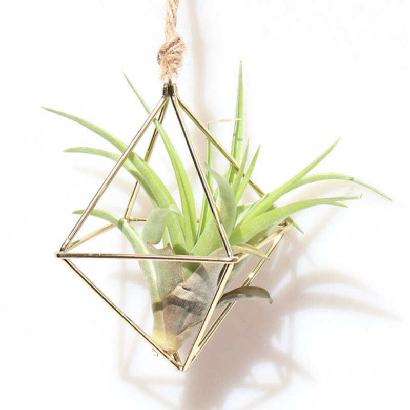 Hanging Planters Geometric Swing Wrought Iron Tillandsia Air Plants Holder Triangular Shaped Metal Rack Freestanding