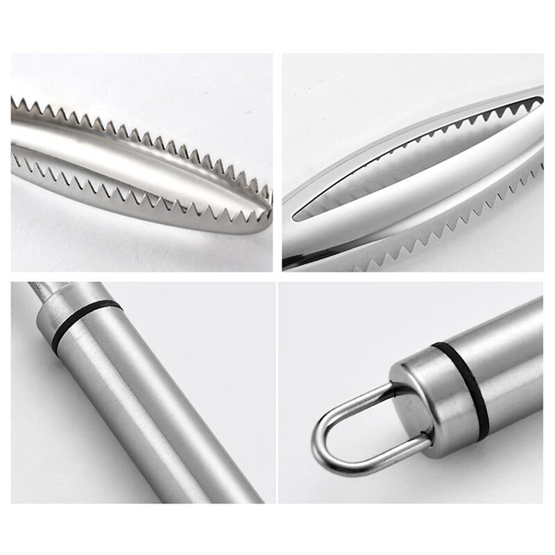 Efficient Fish Scales Scraping Stainless Scaler for Fish Cleaning Tools Fish Skin Brush Fish Tongs Tweezers Scaler Fishing Tools