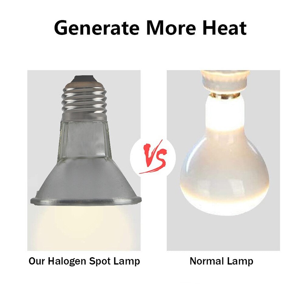 NEWFUN Schildpad Verwarmingslamp, terrarium warmtelamp met klem, reptielen en amfibieën, met 2 Basking Lampen UVA UVB 50W en 360° draaibare klem, geschikt voor schildpad, slang, hagedis