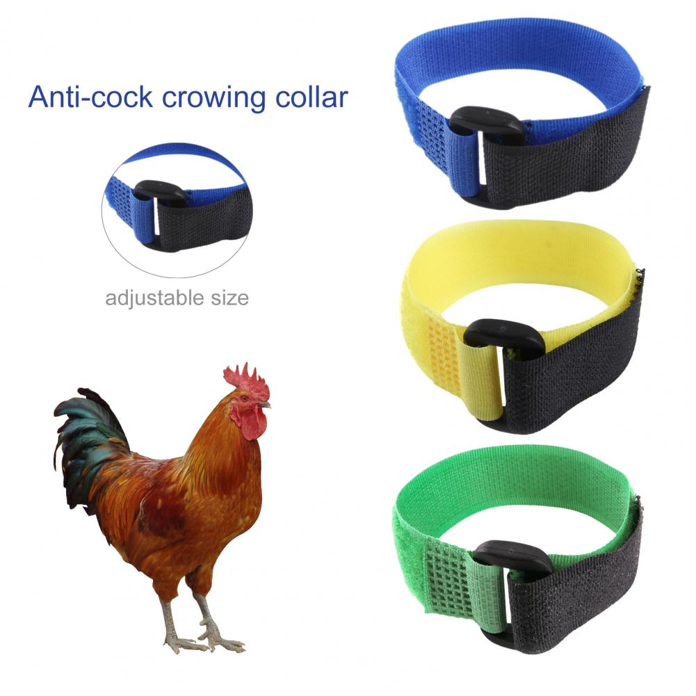 Anti-Cock Kraaiende Vakmanschap Anti-Haak Haan Kraag Pluimvee Supplies