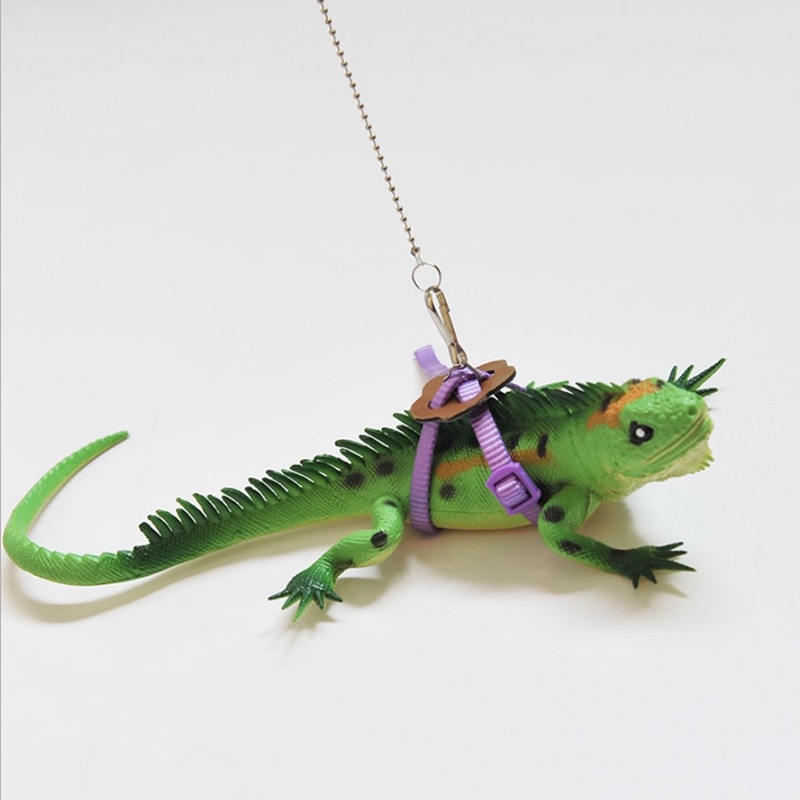 Skægget drage krybdyr firben gecko critters justerbar sele snor holde reb