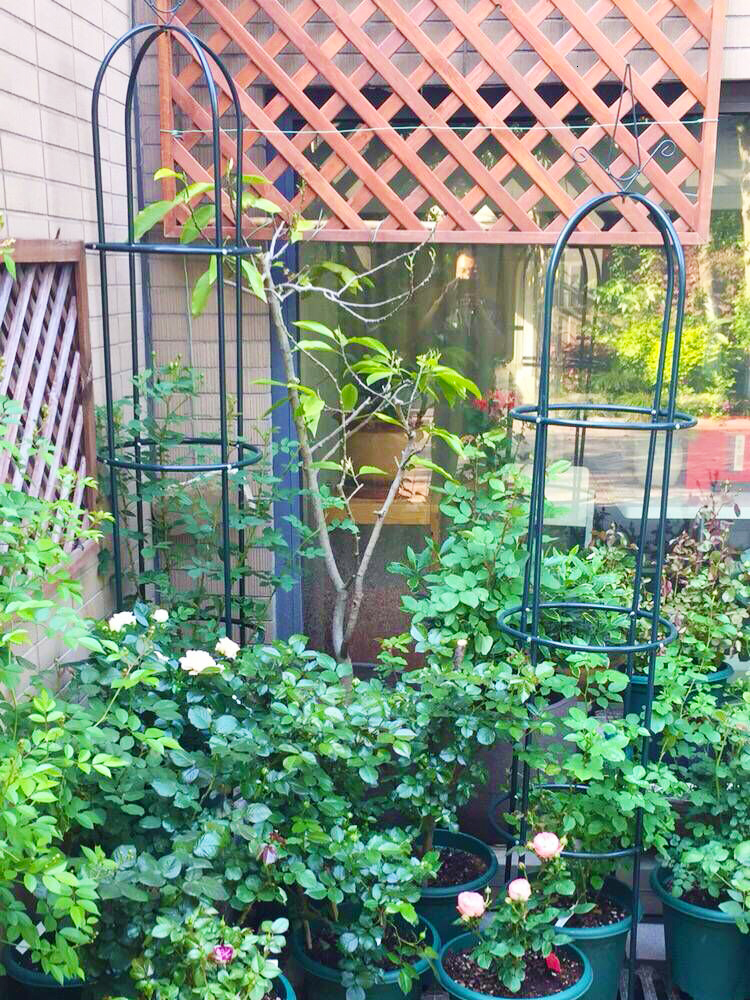 Klim Prieel Chinese Rose Clematis Lotus Buiten Kolom Vorm Europese Stijl Bloem Rack Pot Gedragen Bloem Ondersteuning Frame Indoor